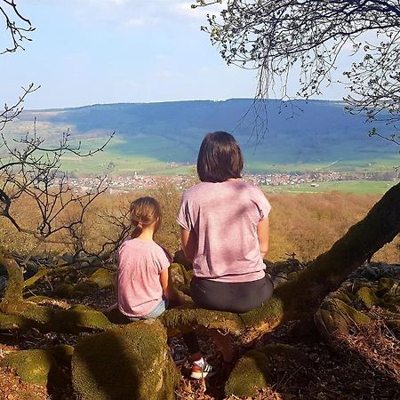 Ferienwohnung Pusteblume Ehrenberg  Buitenkant foto