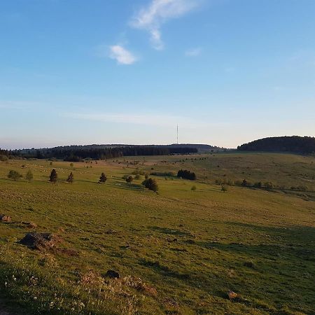 Ferienwohnung Pusteblume Ehrenberg  Buitenkant foto